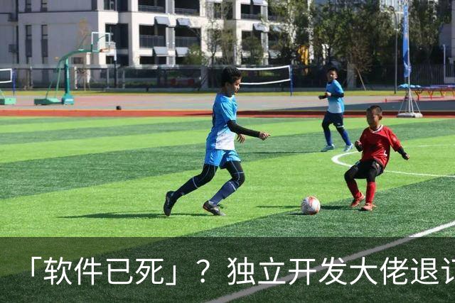 「软件已死」？独立开发大佬退订几乎所有工作软件：要啥让AI造