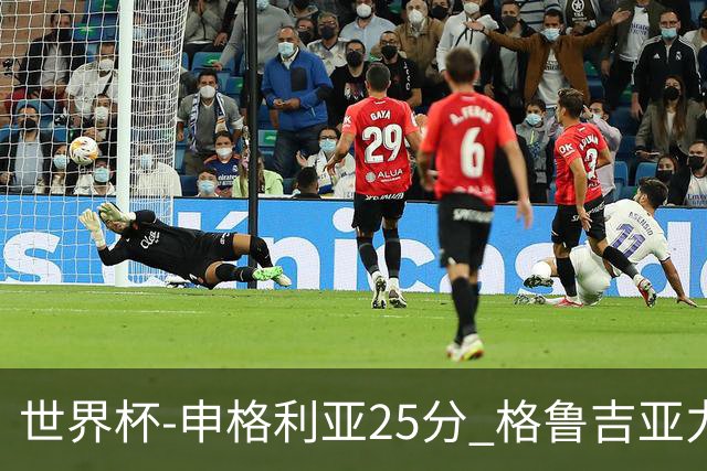 世界杯-申格利亚25分 格鲁吉亚力克委内瑞拉