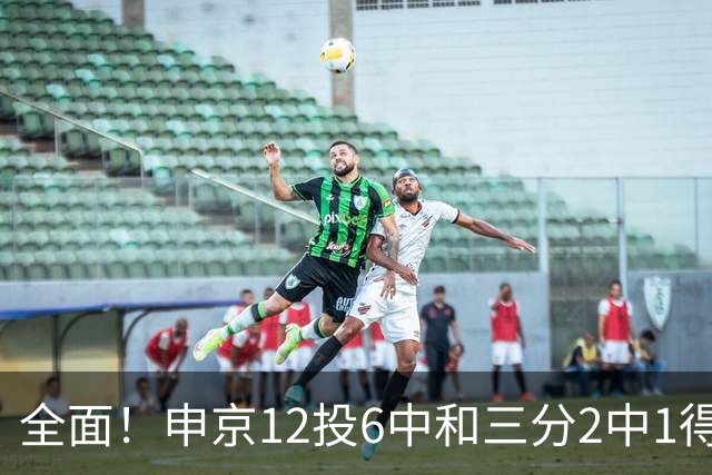 全面！申京12投6中&三分2中1得到17分10板7助