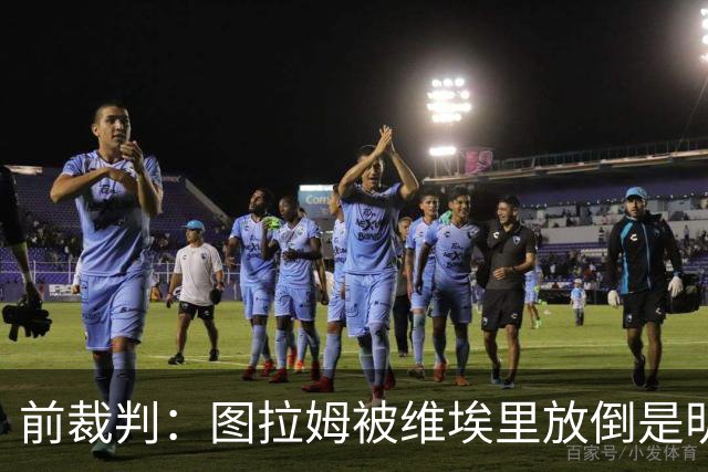 前裁判：图拉姆被维埃里放倒是明显点球，马里亚尼4分表现
