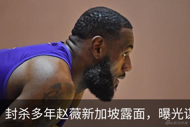 封杀多年赵薇新加坡露面，曝光谋生手段，网友：想不到她会干这个