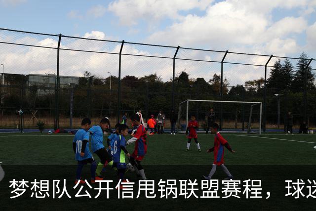 梦想队公开信甩锅联盟赛程，球迷反问：你们自己没责任？