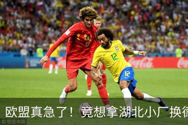 欧盟真急了！竟想拿湖北小厂换德国12人作坊，阿斯麦供应链要断了