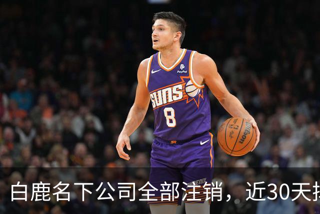 白鹿名下公司全部注销，近30天掉粉超144万，独立运营过渡期引关注