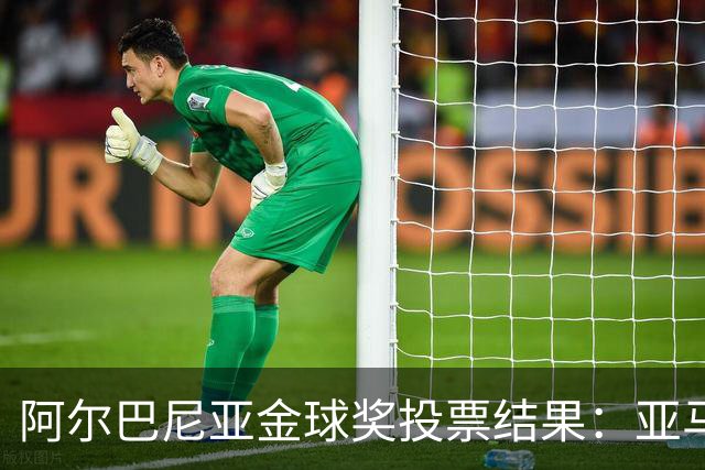 阿尔巴尼亚金球奖投票结果：亚马尔、罗德里、登贝莱前3，凯恩第7